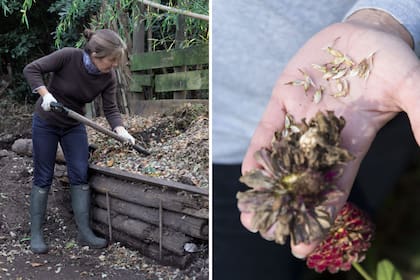 Es importante agregar compost ya maduro en los cuellos de las plantas y esparcido por todo el cantero a modo de capa. Antes de arrancar las flores anuales deben cosecharse las semillas y guardarse en sobres de papel abiertos, para que terminen de secarse, clasificados con nombre y fecha, para la tem