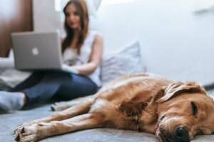 Es importante conocer los pros y los contras de dormir con tu perro, especialmente si sos dueño primerizo