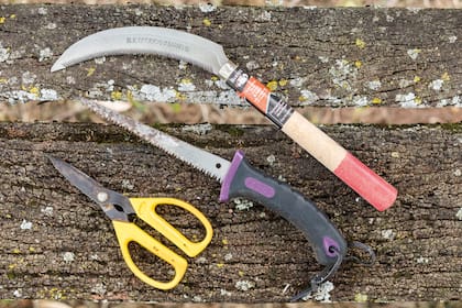 Es importante elegir las herramientas correctas para el tipo de poda que se quiere ejecutar