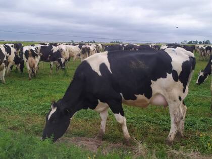 Es importante mantener el funcionamiento de todas las variables