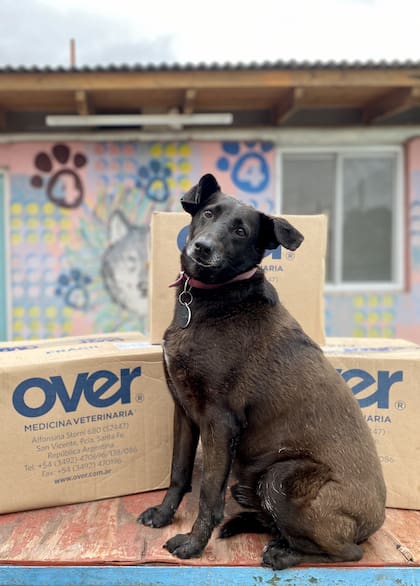 Es la imagen de la paz recuperada.