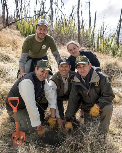 Es la primera vez que Amigos de la Patagonia y ReforestArg plantan en alianza con Parques Nacionales