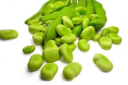 ¿Es malo comer habas para controlar el estrés oxidativo?