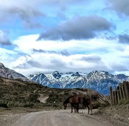Es más probable que los conductores se encuentren con gauchos a caballo que con otros viajeros