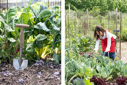 Es momento de limpiar y reorganizar la huerta