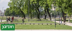 Cómo el cambio climático obliga a repensar el arbolado de nuestras ciudades