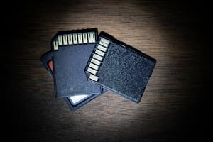 El épico rescate de casi 1000 fotos atrapadas en una tarjeta de memoria