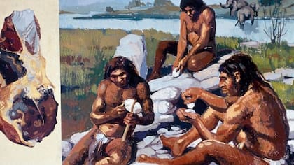 Es posible que los neandertales pudieran tener un sistema de comunicación verbal parecido al humano