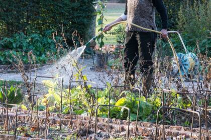Es preferible un riego espaciado y profundo a uno superficial y constante