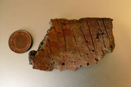 Es probable que el fragmento de cerámica haya sido parte de una urna funeraria de la edad de bronce