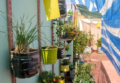 Es recomendable construir barreras con plantas altas, como cañas verdes o secas, que atenúen los vientos fuertes del invierno y eviten el excesivo calor del verano. También, pueden utilizarse una tela o media sombra para disminuir el impacto de las temperaturas elevadas