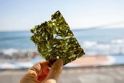 Es un alimento de baja carga calórica y buena densidad nutricional