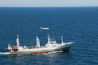 Pesca ilegal: ¿Cómo funciona la Zona Económica Exclusiva Argentina?