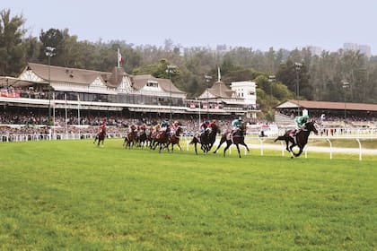 Es un lugar de encuentro social de la comunidad viñamarina y un espacio verde único.