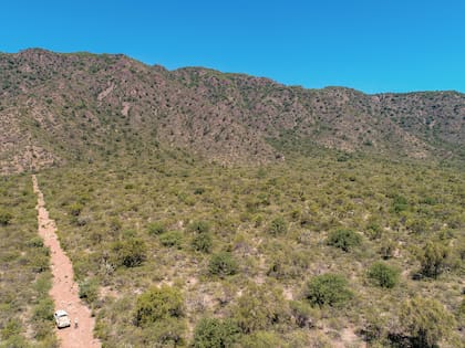 "Es un tesoro del país, una fuente de servicios ecosistémicos muy importantes para el resto de la región", asegura Natalia.