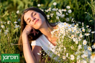 La poderosa planta que equilibra el jardín, el cuerpo y la mente
