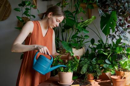 Es una buena oportunidad para que las personas de Capricornio se enfoquen más en su tiempo libre