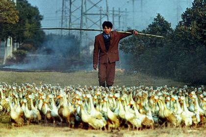 Es una comida afrodisíaca y tiene un alto nivel proteico.