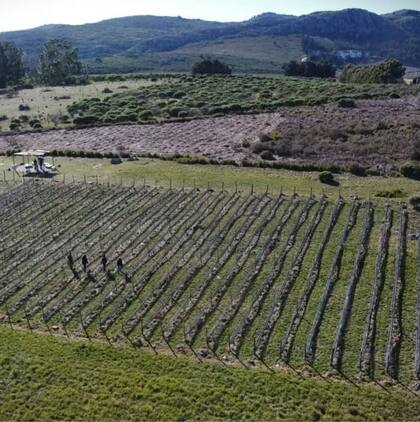 Es una gran alternativa si se visita Tandil