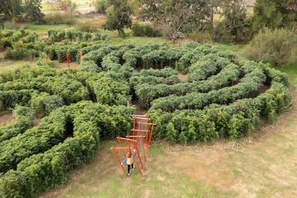 Es una obra en colaboración con la naturaleza. Emplazado en la Estancia La Cinacina, en San Antonio de Areco, este laberinto surge de la creatividad y la necesidad de recuperar un espacio natural.