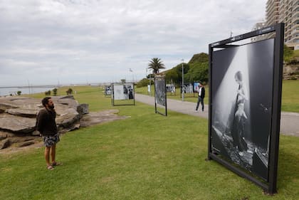 “Es una selección muy particular y cada foto tiene una historia”, dice Rocca a LA NACION, sobre su exposición al aire libre de 34 imágenes gigantes