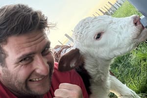 Es veterinario y se volvió furor al mostrar la recuperación diaria de una cabrita abandonada por su mamá