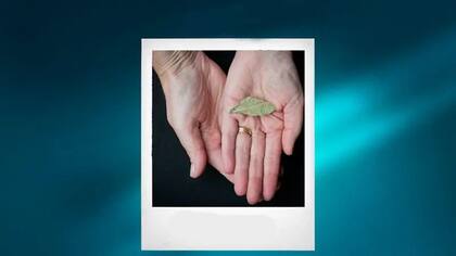 Esa hoja tuvo un fuerte impacto en Odette, como explicaría en una entrevista con la BBC en 1951