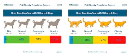 Escala de bajo peso, peso normal, sobrepeso y obesidad en perros y en gatos. Web / Pet Obesity Prevalence Survey 2022