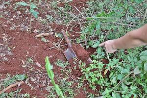 Escalofriante intento de femicidio en Itacuaré