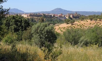 Escalona, un municipio de la provincia de Toledo que suele ser elegido en el verano por los madrileños.