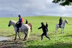 Escándalo por la actitud de un campeón olímpico que golpeó diez veces a un caballo.