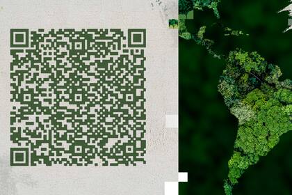 Escaneá este código QR desde cualquier billetera virtual y ayudá a que América Latina tenga más árboles.