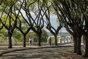 Las mejores vistas sobre el Paraná y una torta imperdible, a menos de dos horas de Buenos Aires