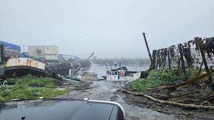 Escenas posteriores al paso del tsunami en la región de Kamchatka