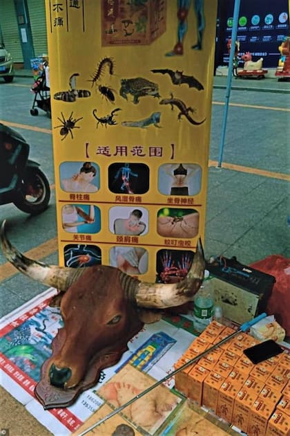 El consumo de animales exóticos es esporádico y no forma parte de la dieta cotidiana de los chinos, según Villagrán