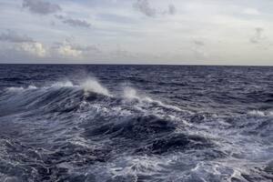Escultura de "El pensador" frente a la ONU para denunciar la contaminación por plásticos