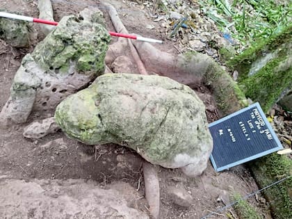 Esculturas antropomórficas halladas en el sitio Los Abuelos, consideradas representaciones de una pareja ancestral