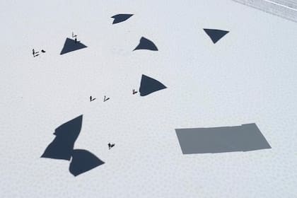 Esculturas solares, en un proyecto anterior del artista argentino Tomás Saraceno que también surcó el aire