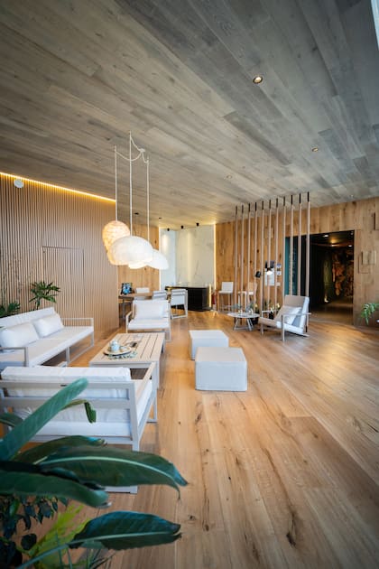 Espacio Biofílico de Patagonia Flooring.