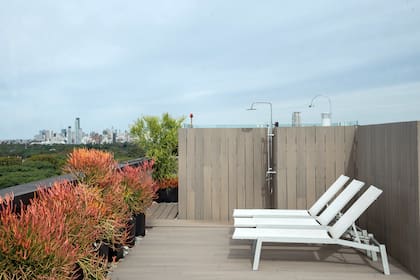 Espacio de reposeras y duchas, ideal para disfrutar de las vistas. De color rojizo, una alineación de Euphorbia tirucalli 'Sticks on fire'. Se utilizaron macetas negras roto moldeadas, cuadradas y redondas, pero de diferentes espacios.