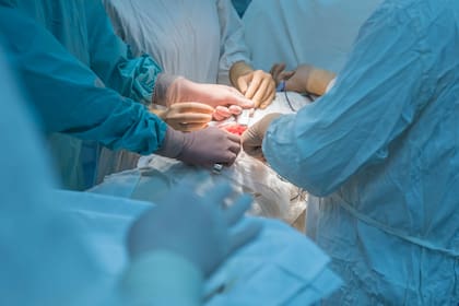 Especialistas advierten que el cáncer de páncreas es uno de los modelos donde más fracasan los avances promisorios