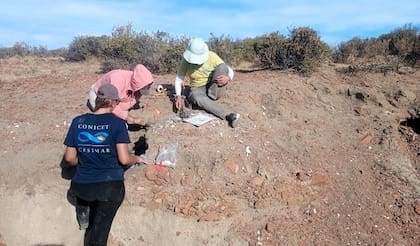Especialistas del Cesimar y del IdeAus realizando trabajo de campo