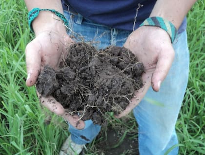 Especialistas del INTA recomendaron prácticas de manejo que mejoren la capacidad de captación y almacenaje de los suelos, eviten la evaporación directa y optimicen las prácticas de manejo de cultivos, tales como rotaciones, fecha y densidad de siembra, cultivos de cobertura y nutrición