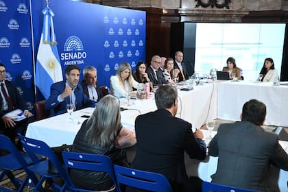 Especialistas en salud mental, representantes del tercer sector, familiares de personas con problemas de salud mental y senadores intercambiaron apreciaciones sobre los cambios necesarios de la actual ley de salud mental