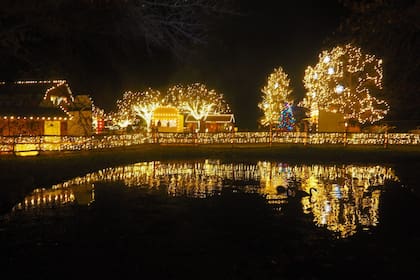 Espectáculo de luces en el zoo de Belén, Pensilvania. (lvzoo.org)
