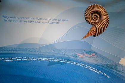 Réplica de un nautilus ubicado dentro de la Plaza Cielo y Tierra