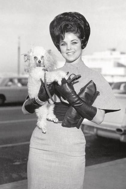 Espléndida con su perro Honey en brazos en el aeropuerto de Memphis, el 11 de enero de 1963. Es el momento en que vuelve a Estados Unidos –donde al principio vivirá con sus futuros suegros– para estar cerca de su amor.