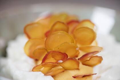 Espuma de yogurt de cabra