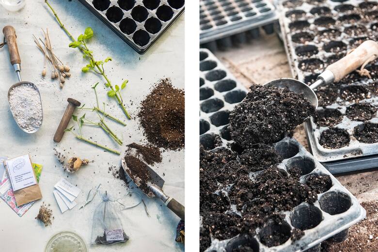 El ABC de la jardinería de otoño: cómo sembrar y multiplicar nuestras plantas en esta época