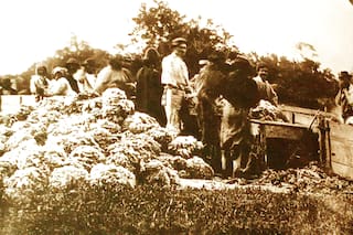 Imágenes rurales que aún persisten por la magia de la fotografía